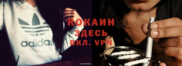 шишки Вязники